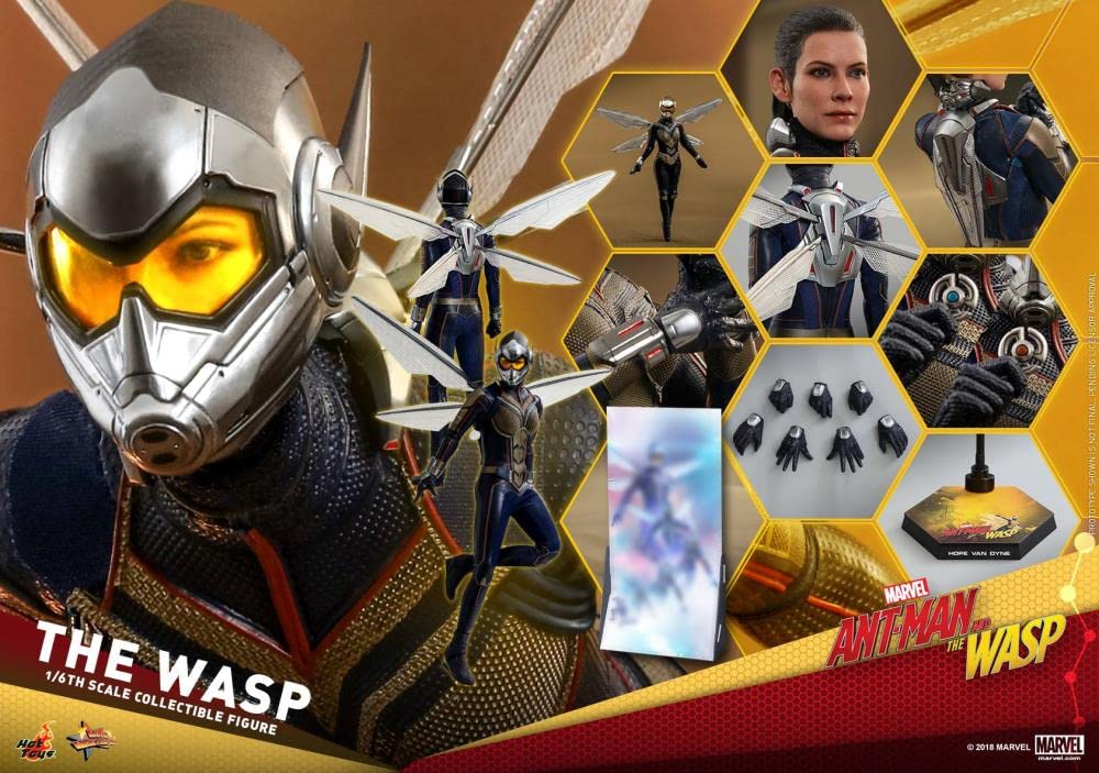 Hot Toys 1:6 Scale The Wasp Action Figure from Ant-Man and The Wasp Movie - Collectible Marvel Superhero Toy for Display & Gift Giving