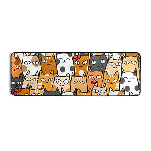 Funny Kittens