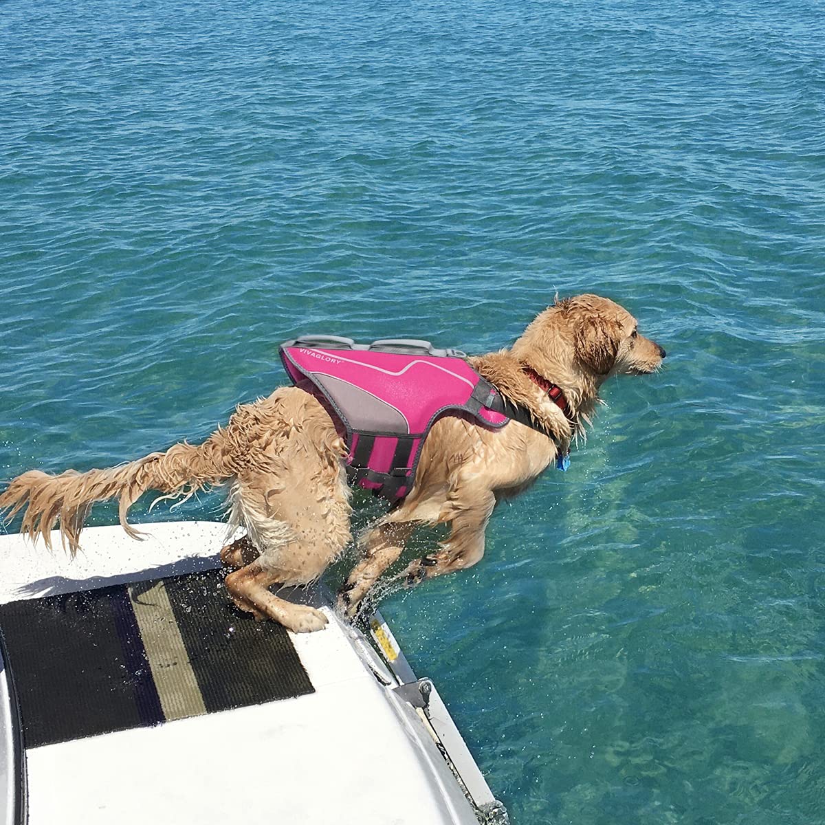 Hands Free Dog Leash with Adjustable Belt - Reflective Dog Life Jacket for Swimming & Boating - Perfect for Active Dogs, Beach Outings & Water Safety