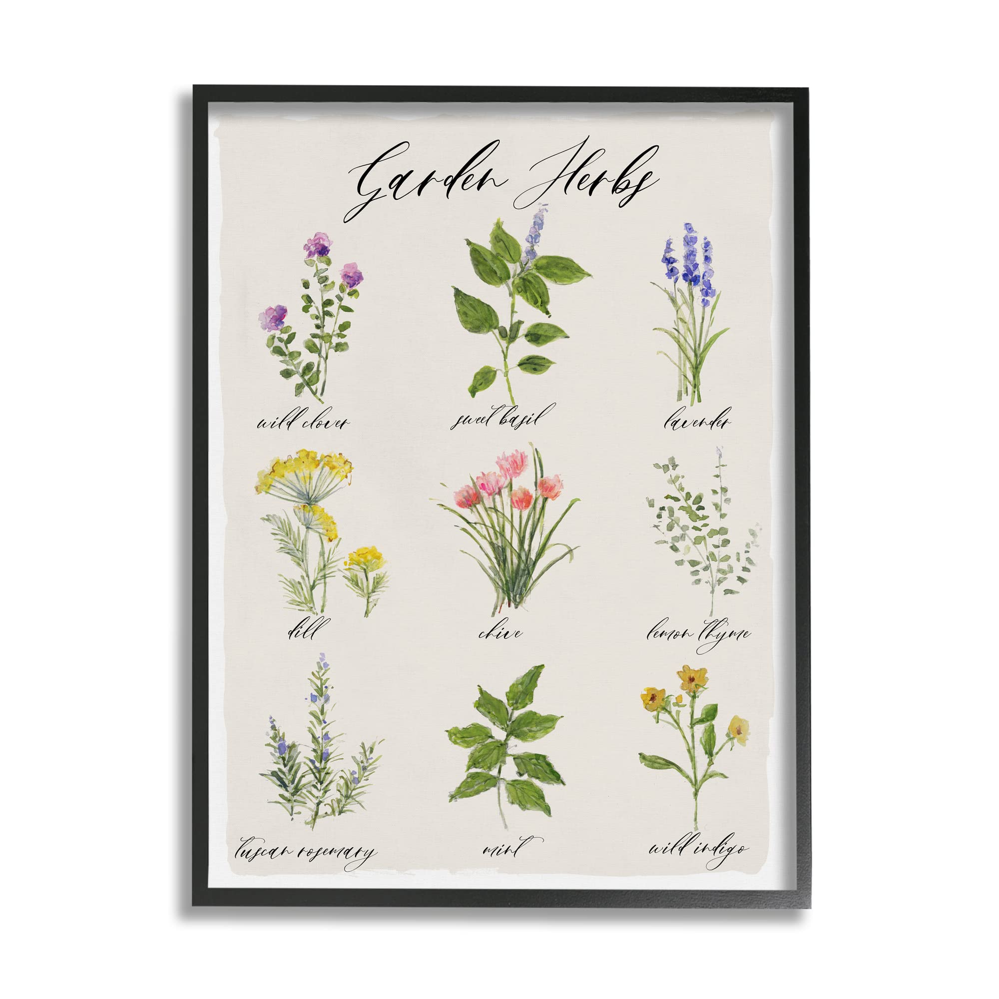 Stupell Industries Framed Herb Chart - 11x14 Kitchen Wall Art with Illustrated Garden Herbs, Natural Seasoning Guide in Black Frame & Beige Background | Perfect for Home Decor, Culinary Gifts & Farmhouse Style Kitchens