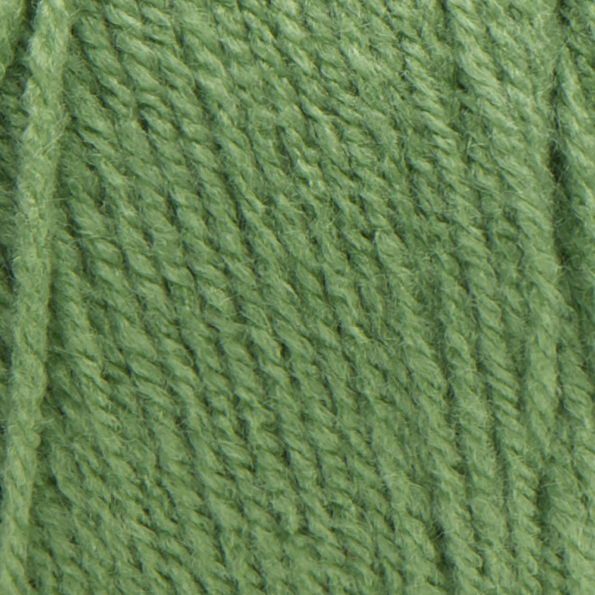 RED HEART E300.0624 Super Saver Yarn - 100% Acrylic Knitting & Crochet Yarn, Tea Leaf Color, 7oz/198g - Perfect for Scarves, Blankets & DIY Crafts
