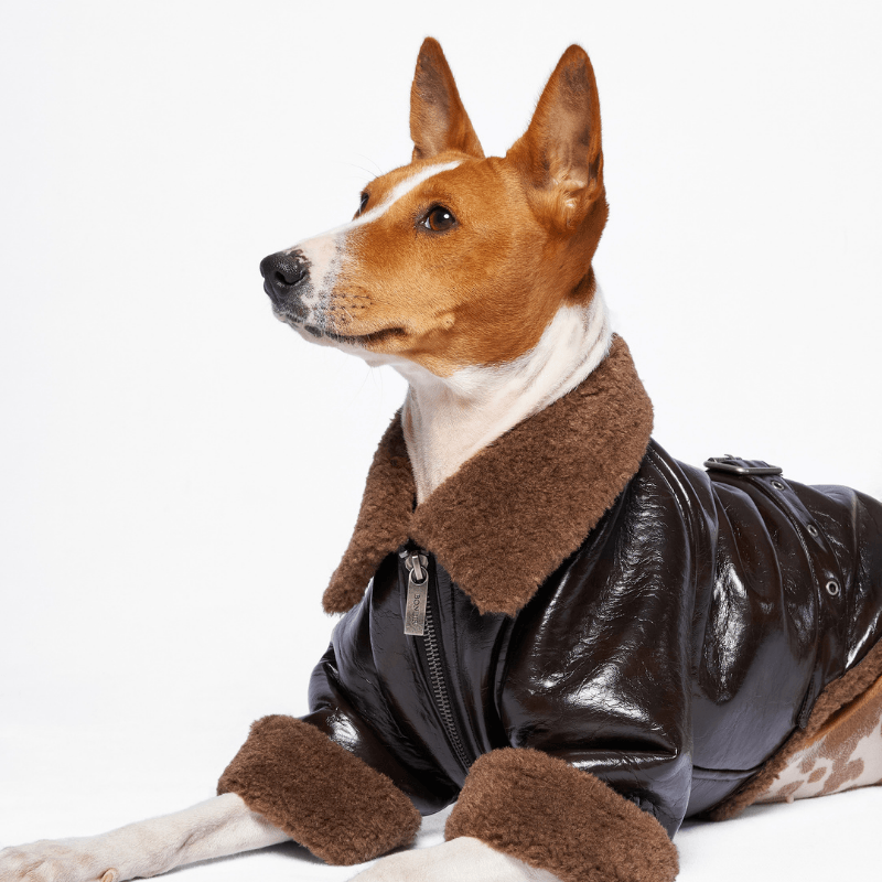 Woodland Vegan Shearling Jacket - Eco-Friendly Faux Fur Coat for Women | Perfect for Winter Outdoor Adventures & Casual Streetwear