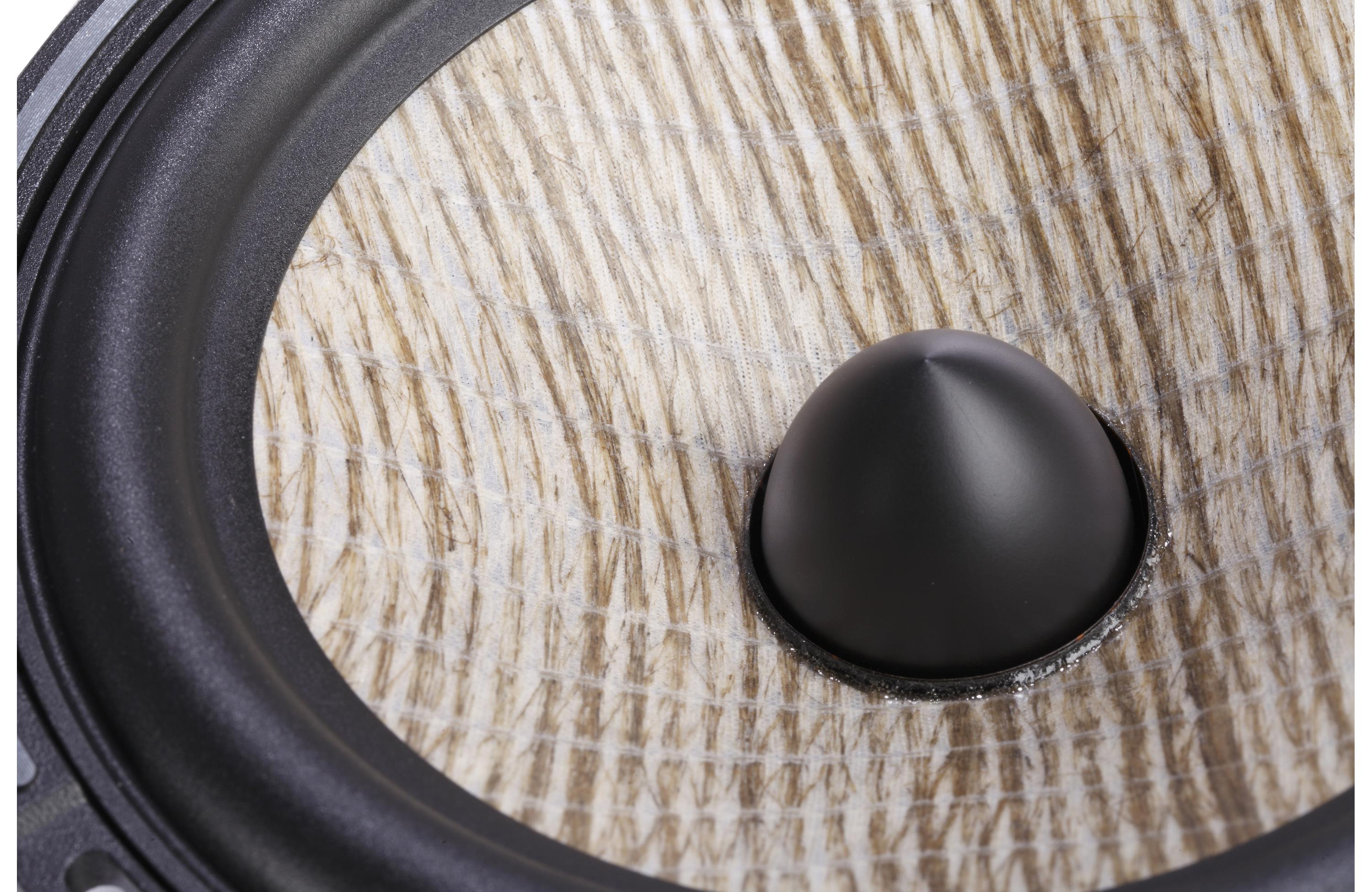 Focal PS 165 FX Performance Expert 6.5