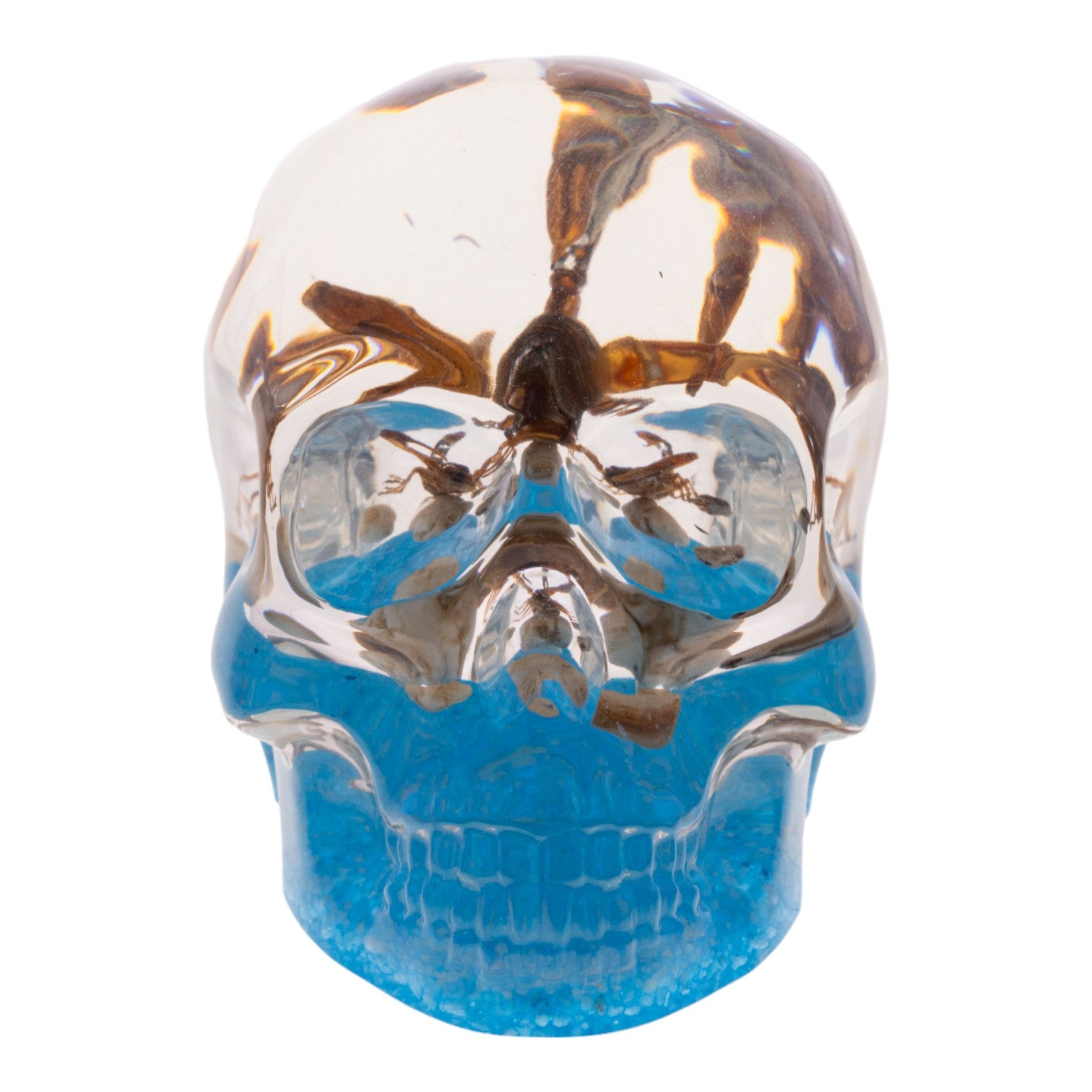 Real Golden Scorpion Encased in Clear Acrylic Skull Display - Perfect for Home Decor, Gothic Collections, and Unique Gift Ideas