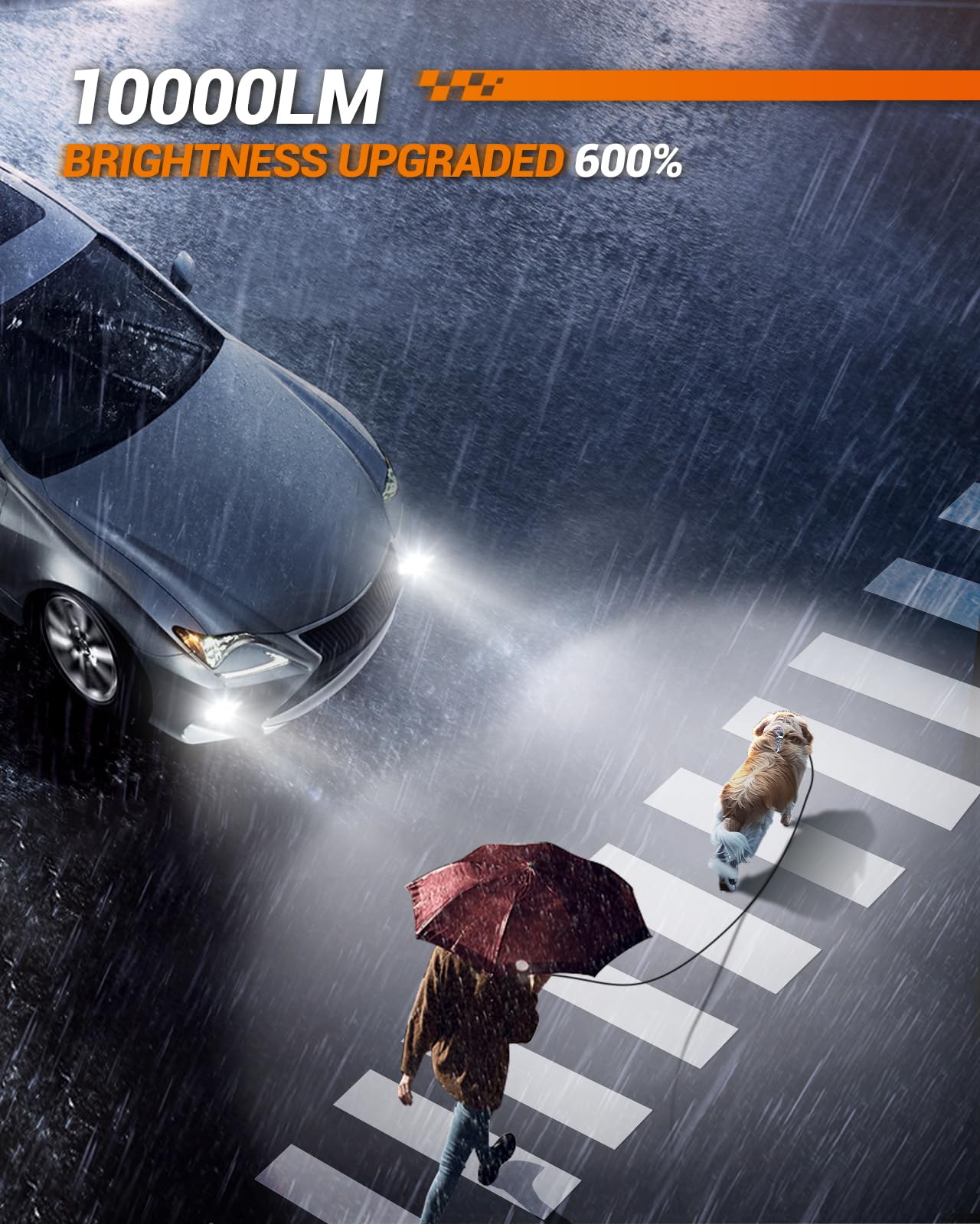 SEALIGHT H10 9140 9145 LED Fog Light Bulbs - 10000LM High Brightness, 6500K White, 600% Brighter - DRL Fog Lights for Cars - Easy 3 Min Plug & Play Installation - Pack of 2 - Perfect for Night Driving, Off-Roading & Bad Weather Conditions