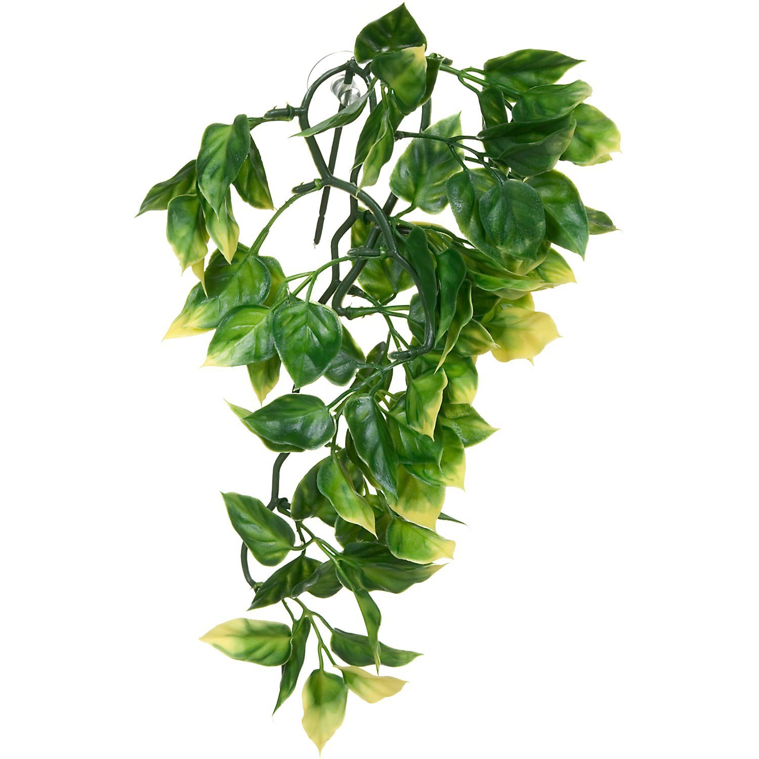 Exo Terra Small Plastic Terrarium Plant - Amapallo for Reptile Habitat & Terrarium Decoration - Perfect for Gecko, Frog, and Snake Enclosures