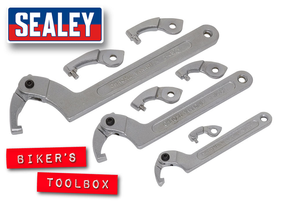 Sealey 11-Piece Hook and Pin Wrench Set - Professional Automotive Tool Kit for Heavy-Duty Repairs and Maintenance
