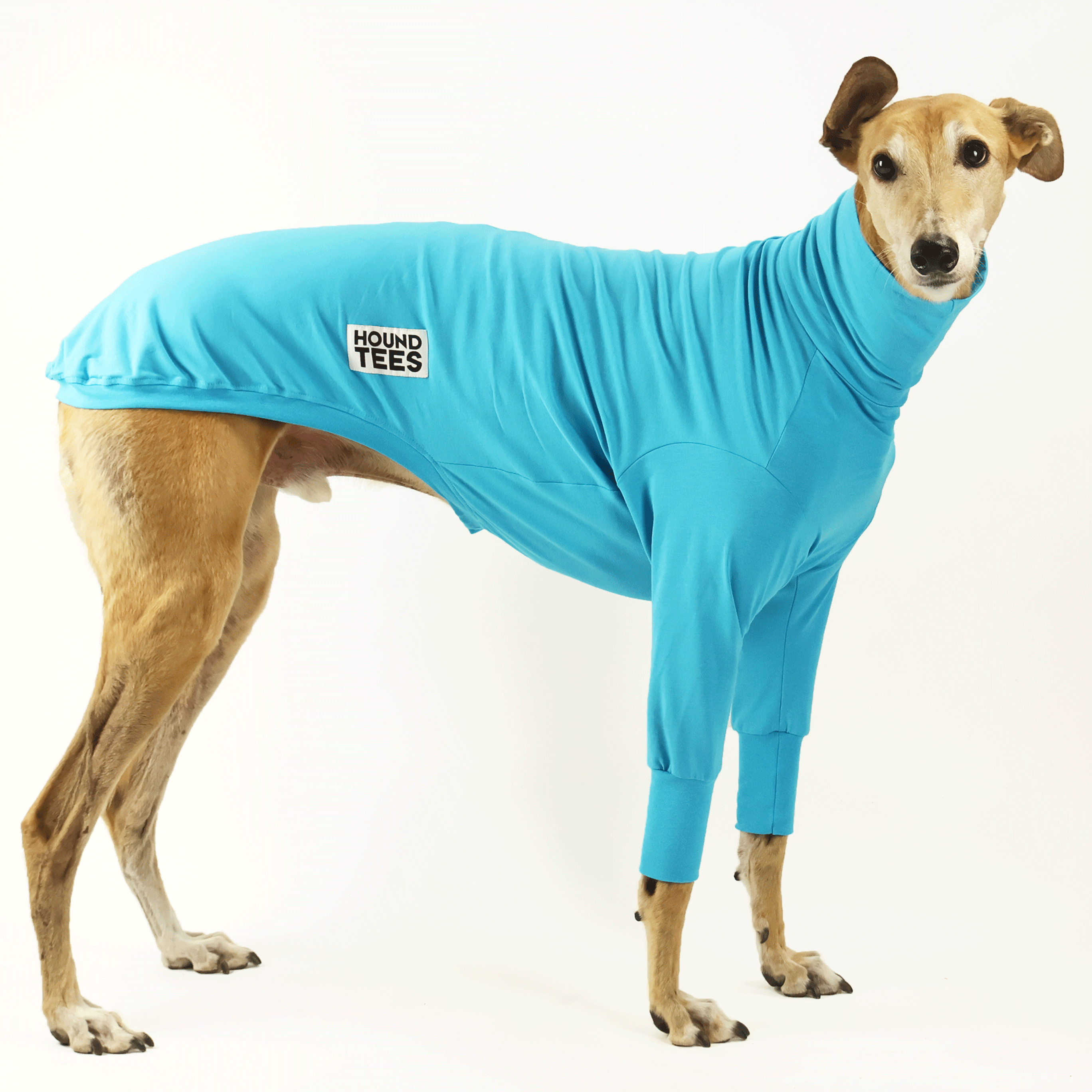 Bluey Greyhound Long Sleeve Thermal Base Layer Shirt - Warm Winter Underwear for Men & Women - Perfect for Hiking, Running & Cold Weather Activities