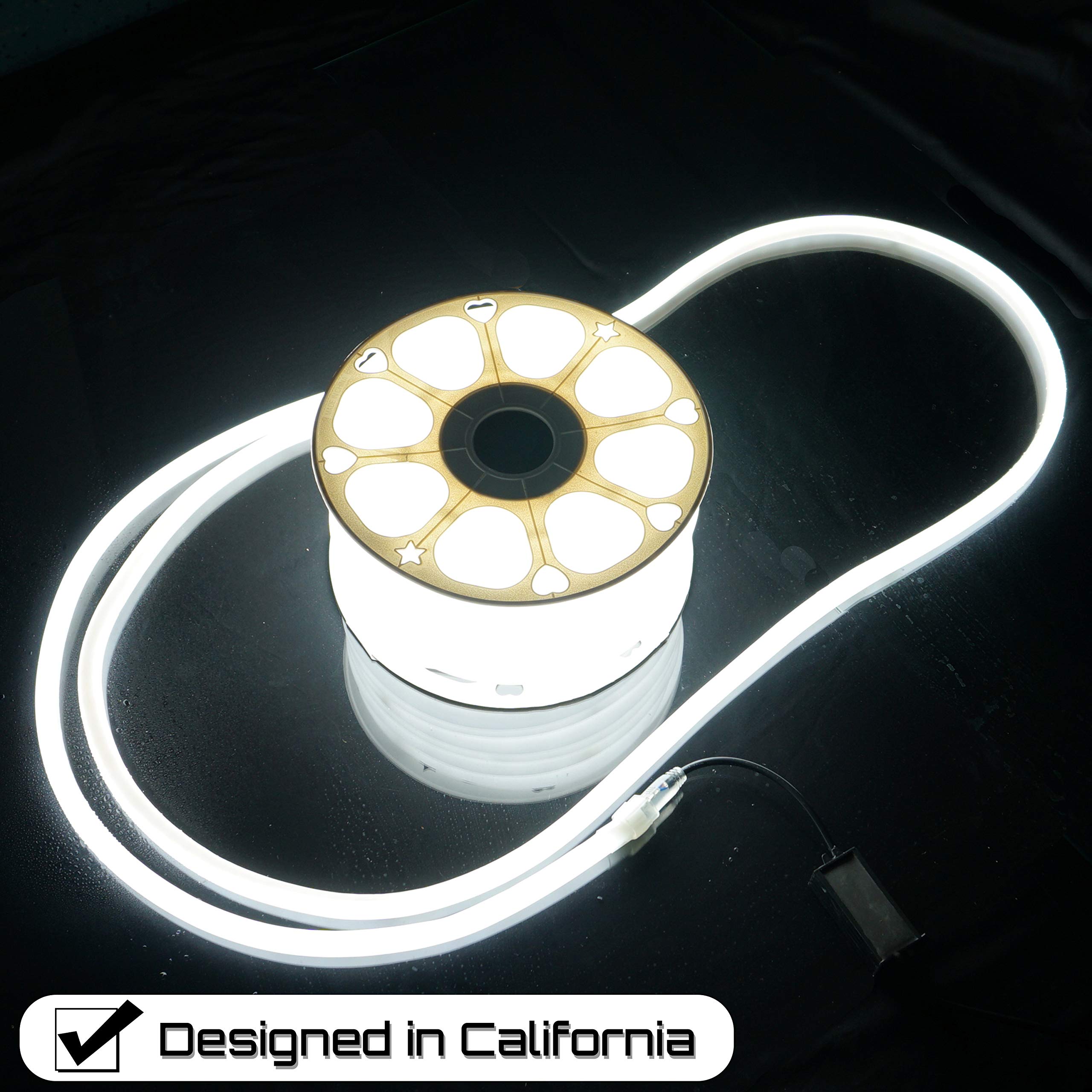 Russell Decor LED Neon Rope Lights - 100ft Flexible Cool White Glowing Rope for Indoor/Outdoor Decor, Parties, Weddings & Events