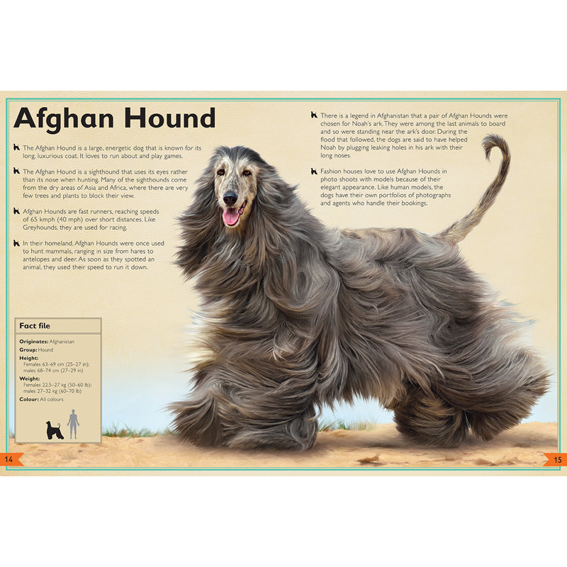 The Magnificent Book of Dogs - Comprehensive Guide to Dog Breeds, Care & Training | Perfect for Dog Lovers, Pet Owners & Veterinarians | Home, Office & Gift Use