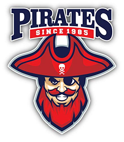 Pirate Mascot Double Sided Stainless Steel Keychain - Durable Key Ring Holder with Carabiner Clip for Keys, Key Finder & Backpack Accessories - Perfect for Gifts, Travel & Everyday Use