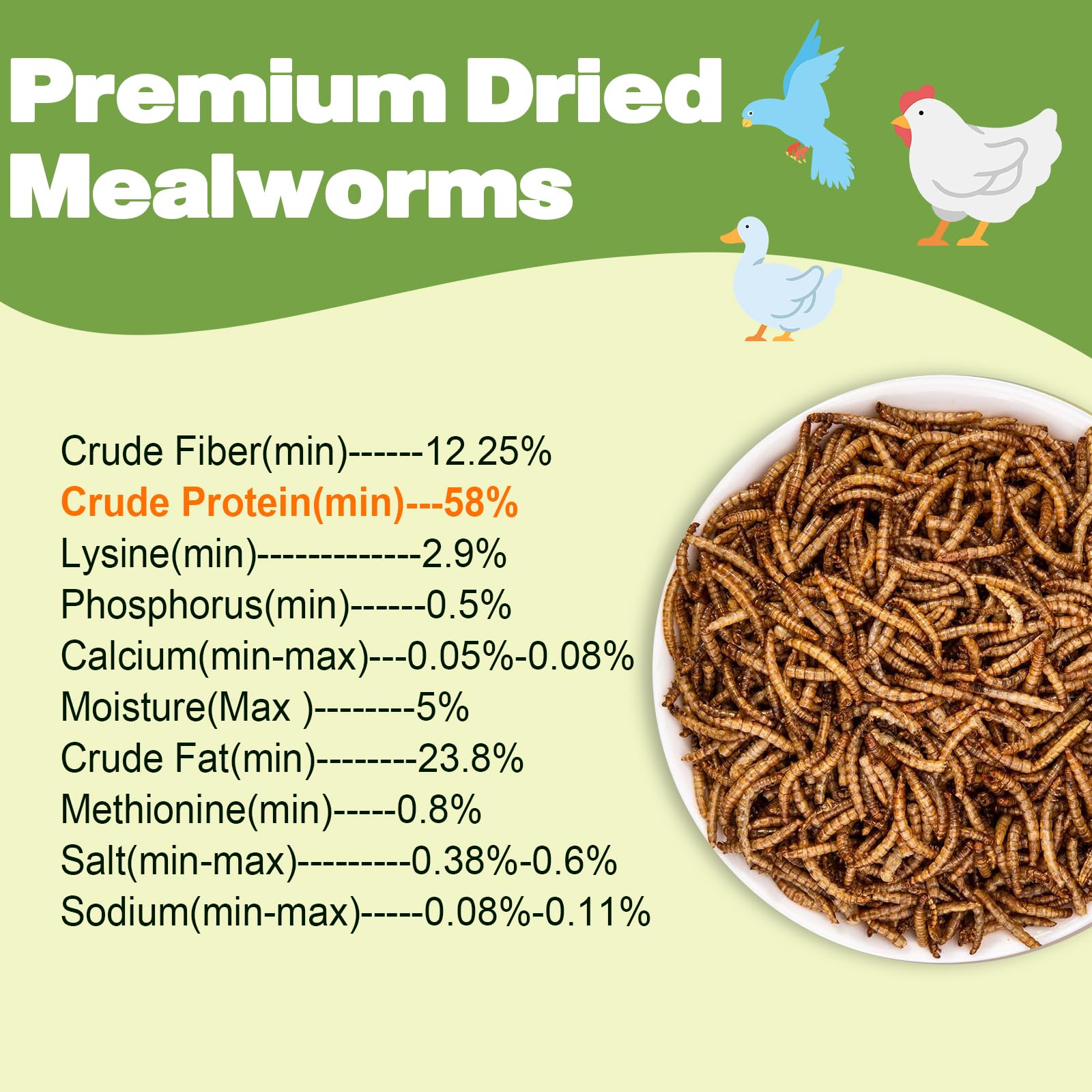 Premium Dried Mealworms - 5 LBS Bulk - 100% Natural Non-GMO High Protein Insect Food for Wild Birds, Chickens, Reptiles & Small Pets - Perfect for Bird Feeders, Chicken Treats & Reptile Nutrition