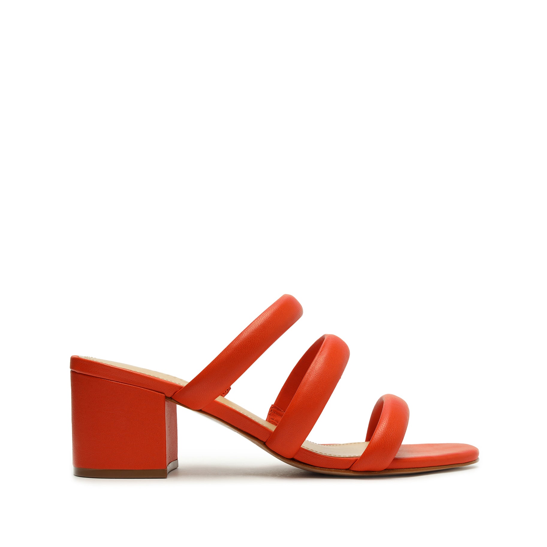 Bright Orange