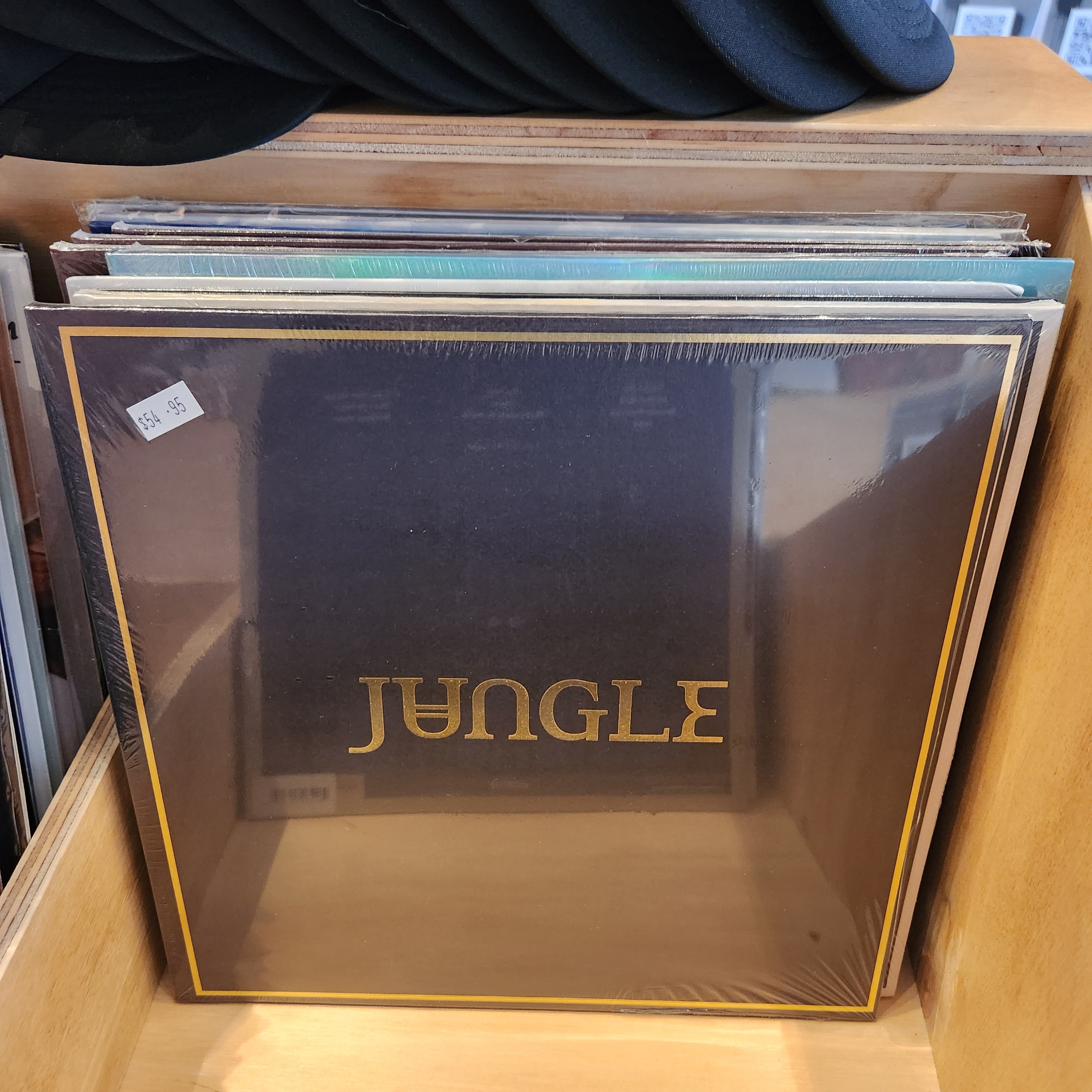 Jungle Vinyl LP - Classic Jungle Music Album for Collectors & DJs | Perfect for Home Listening, Parties & Music Enthusiasts