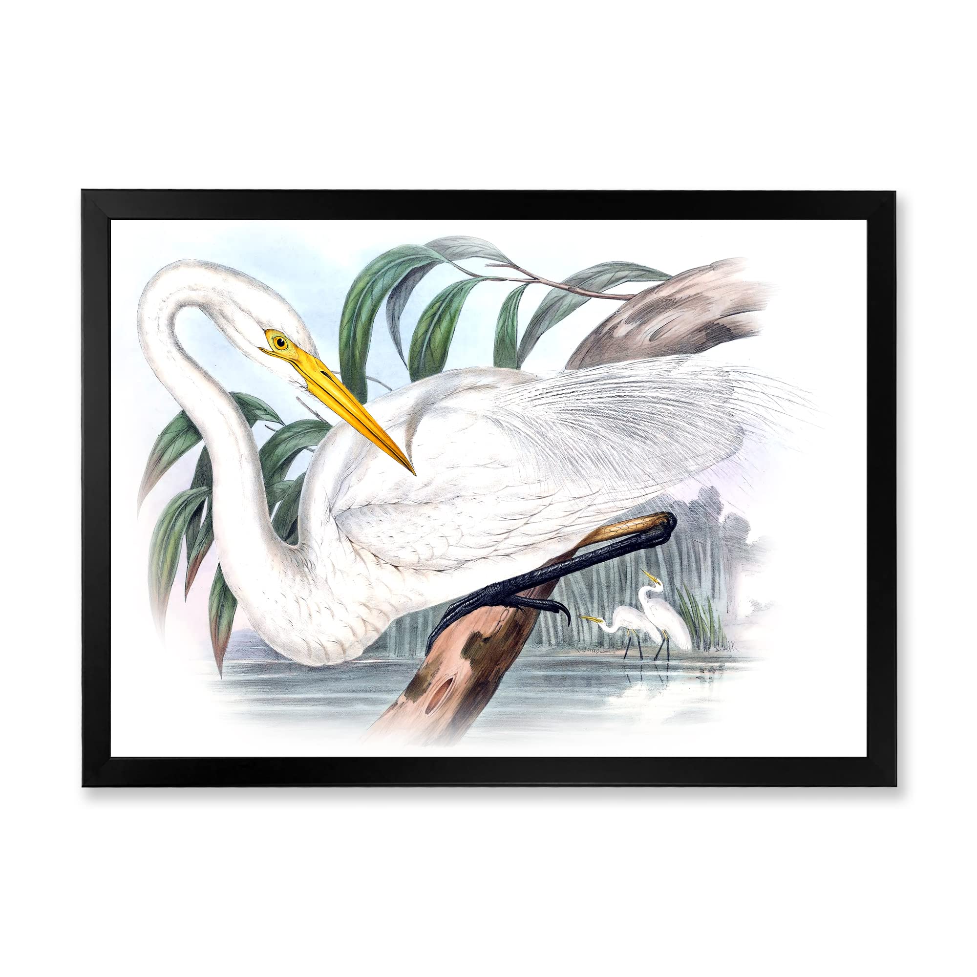 Vintage Australian Birds IV Framed Wall Art - Traditional Home Decor for Living Room, Bedroom & Office | Handmade Canvas Painting