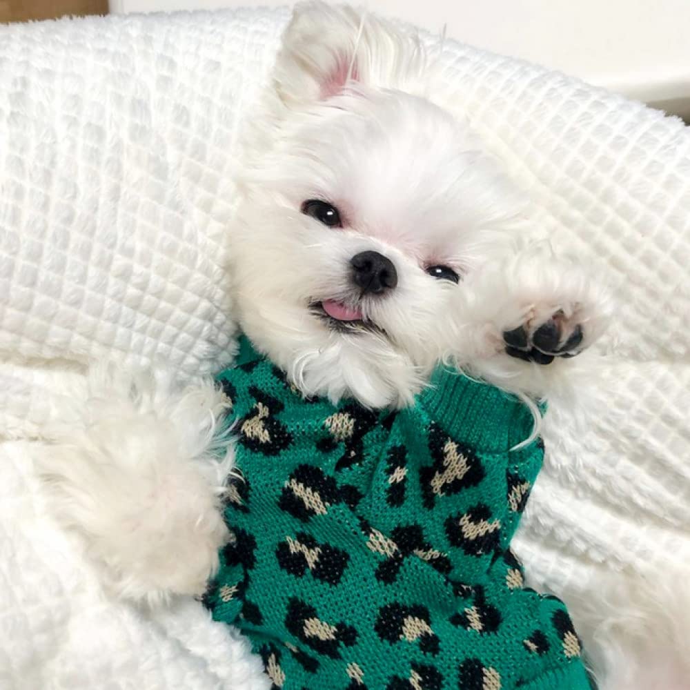 HUANSUN Green Leopard Knit Dog Sweater - Soft Warm Puppy Pullover for Small & Medium Dogs - Cozy Winter Outfit for Autumn & Winter Fashion - Perfect for Outdoor Walks, Daily Wear & Indoor Comfort - Ideal for Park Adventures, Pet Parties & Home Lounging - Great for Cold Weather Protection, Dog Fashion & Holiday Photos - Best for Christmas Gifts, Dog Birthday Outfits & Instagram Pet Photos - Perfect for Dog Park Visits, Coffee Shop Dates & Holiday Family Photos
