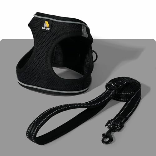 Deep Black