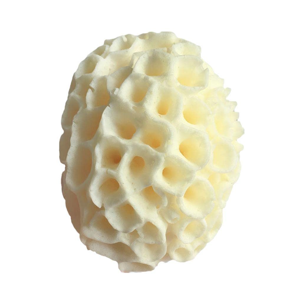 Natural Fiber Bath Sponge & Body Scrubber Brush - Soft Honeycomb Texture for Gentle Exfoliation - Cleansing Shower Loofah for Face & Body - Perfect for Adults & Kids - Spa Day, Daily Shower & Skin Care Routine