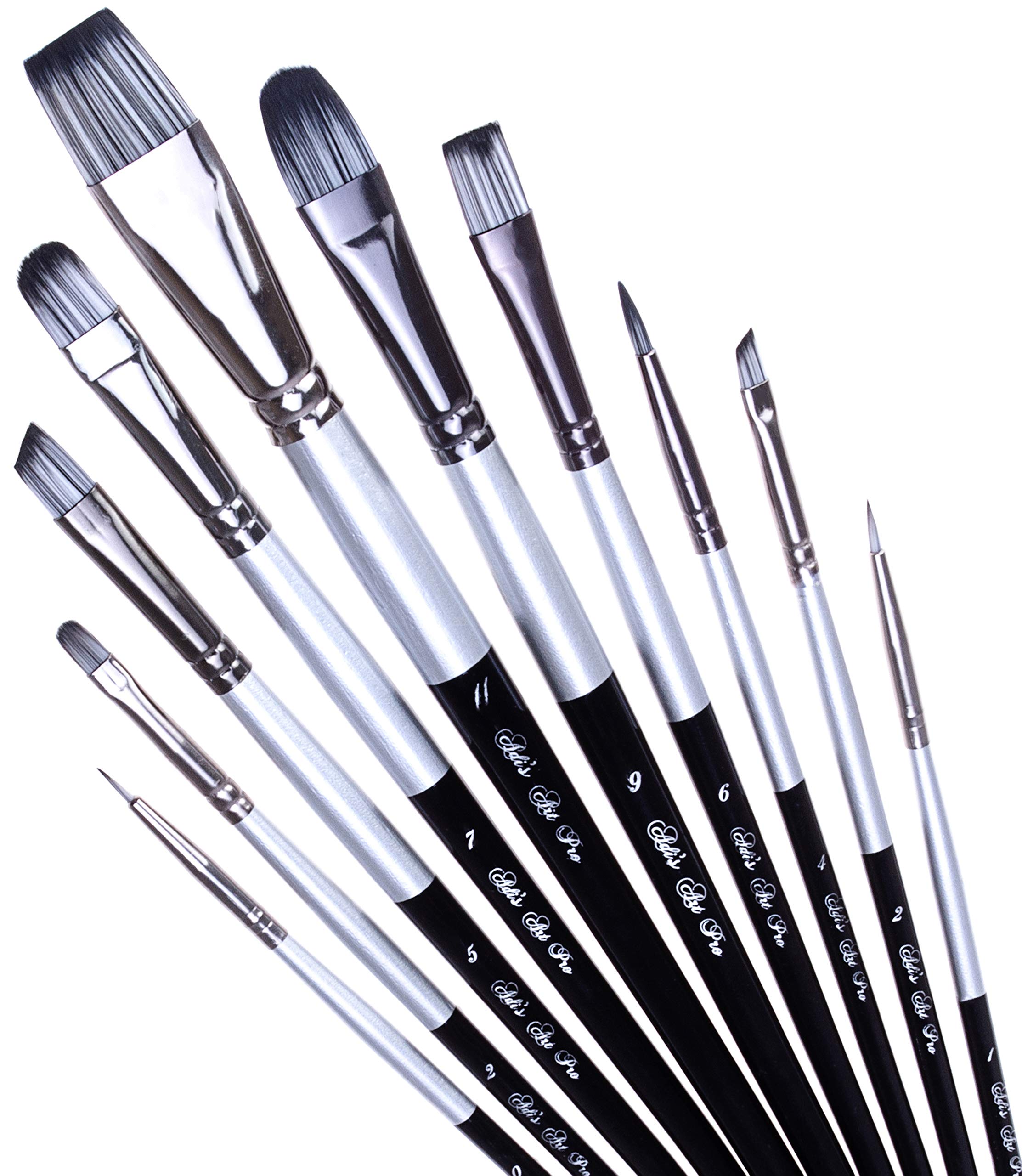 Professional Acrylic Paint Brushes Set of 10 - Artist Quality Brushes for Canvas, Face & Body Painting | Oil & Acrylic Painting Tools for Beginners & Professionals | Perfect for DIY Art Projects, Home Decor & Crafting