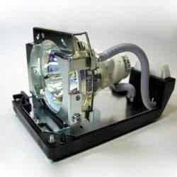 Original NEC LT81 Projector Lamp Bulb Replacement - High Precision LT81 LAMP & HOUSING for NEC Projectors - Perfect for Home Theater, Office Presentations & Classroom Projection