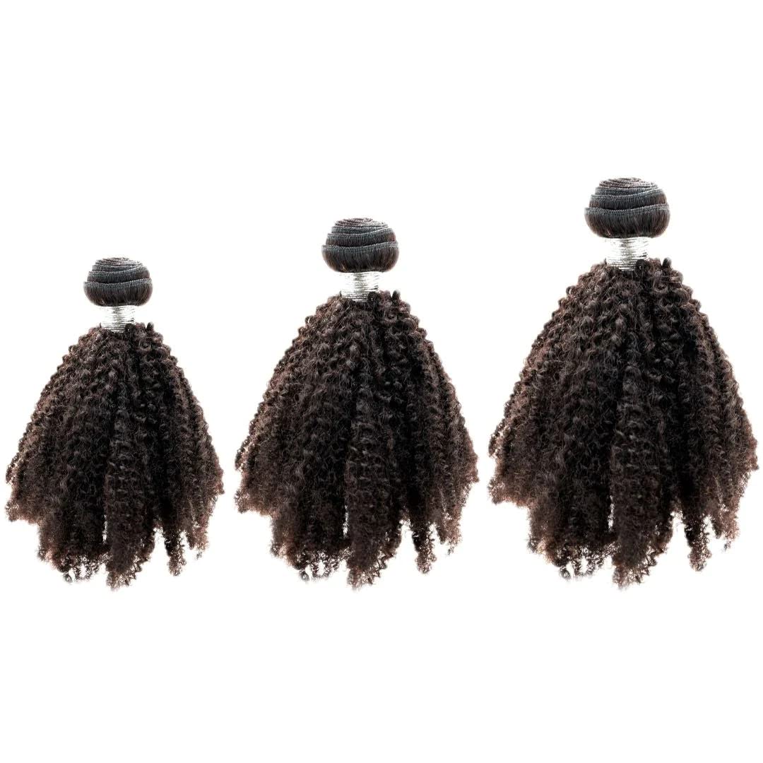 Brazilian Afro Kinky Curly Hair Bundles 12