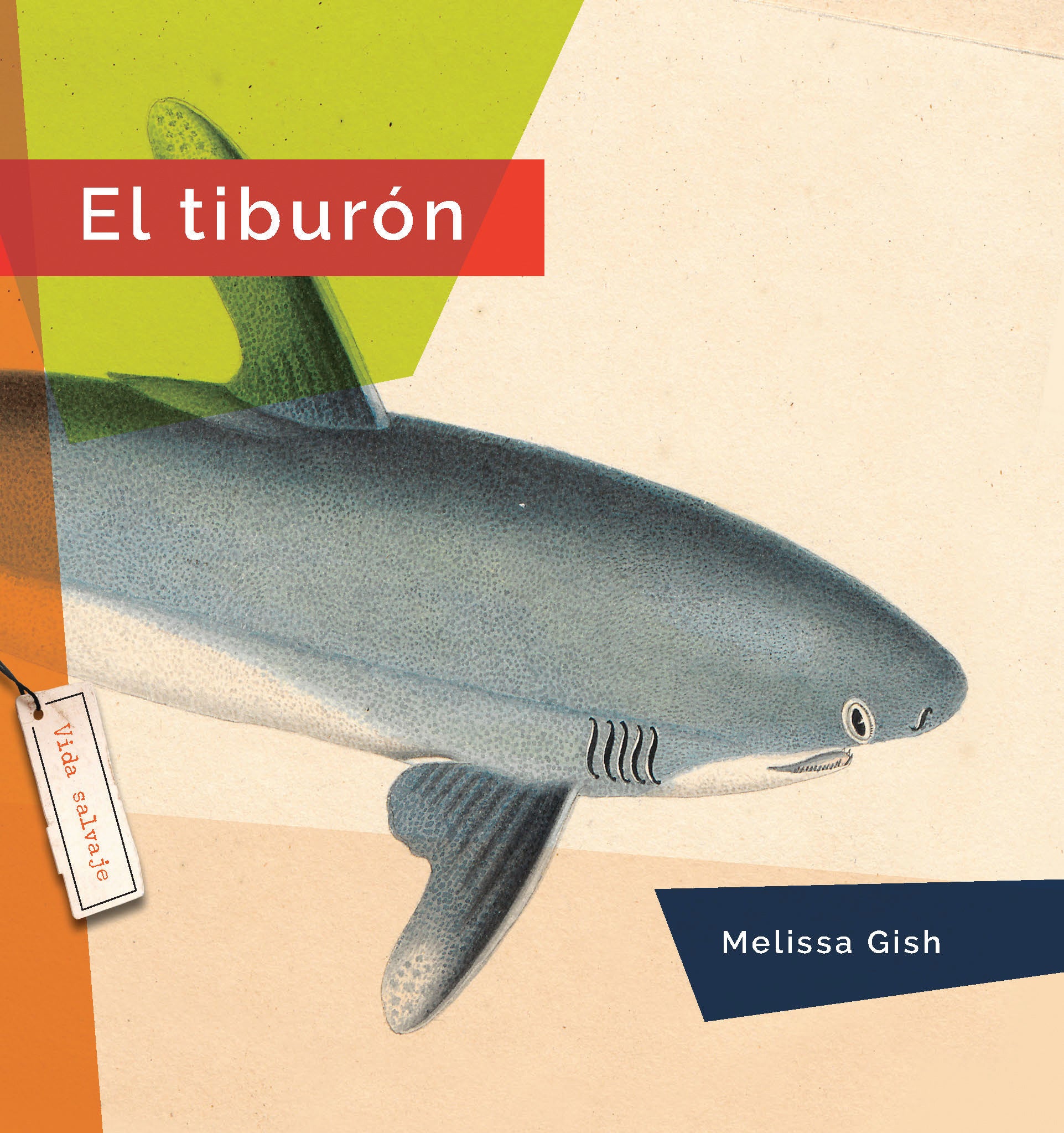 El Tiburon Book 9781640267503 - Spanish Children's Book About Sharks for Kids, Perfect for Bedtime Stories & Classroom Reading