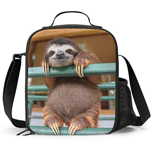 Sloth
