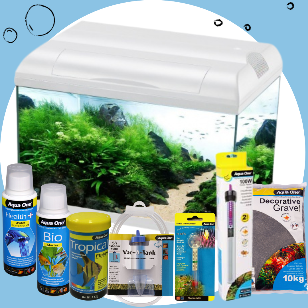 Ecostyle 61 Aquarium Bundle - 70 Litres Fish Tank Kit with LED Light & Filter - Perfect for Home, Office, or Classroom Aquarium Setup