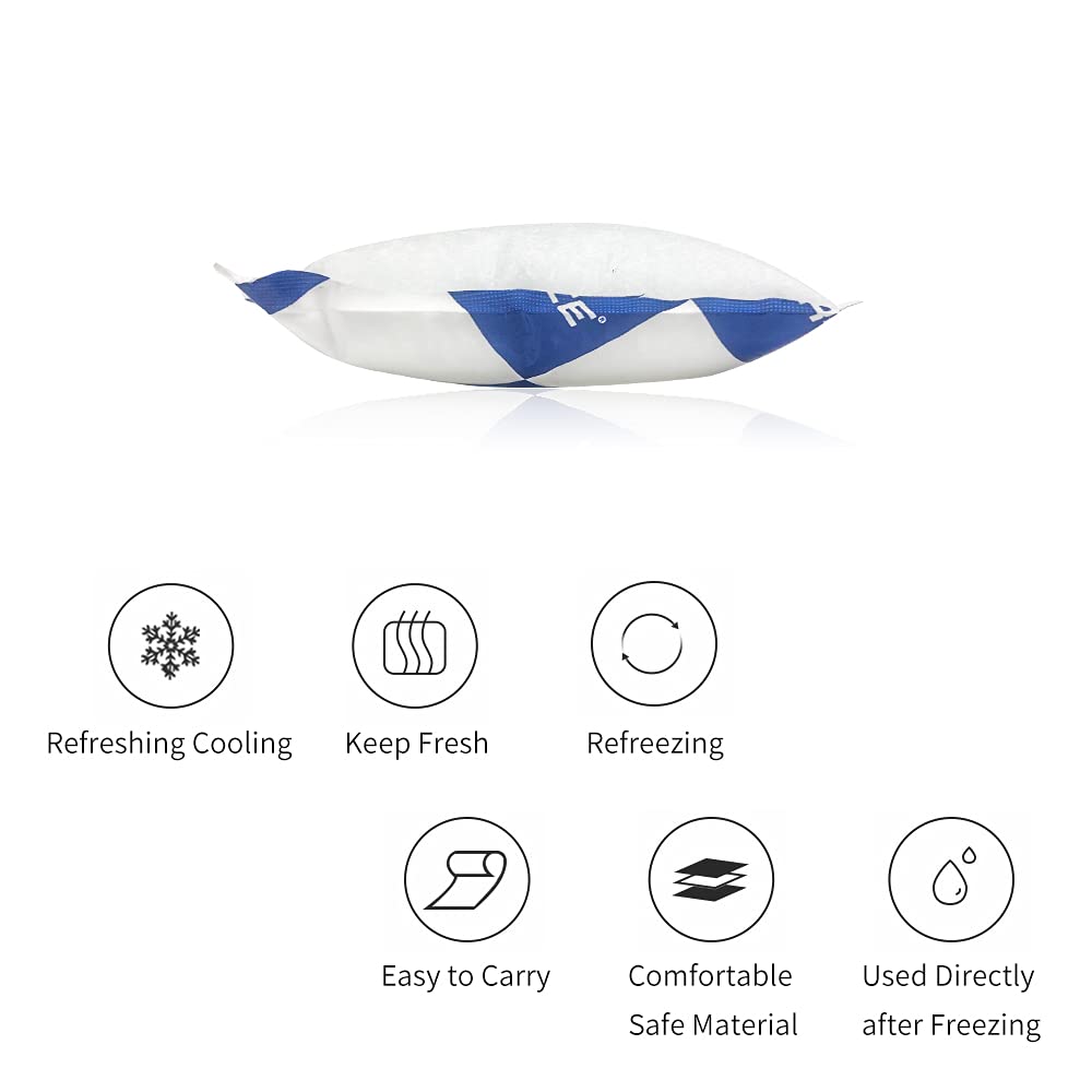 Reusable Dry Ice Packs for Shipping & Storage - Long Lasting Cold Packs for Lunch Boxes & Coolers - Perfect for Frozen Food, Drinks & Meal Prep - Ideal for Camping, Picnics & Grocery Delivery