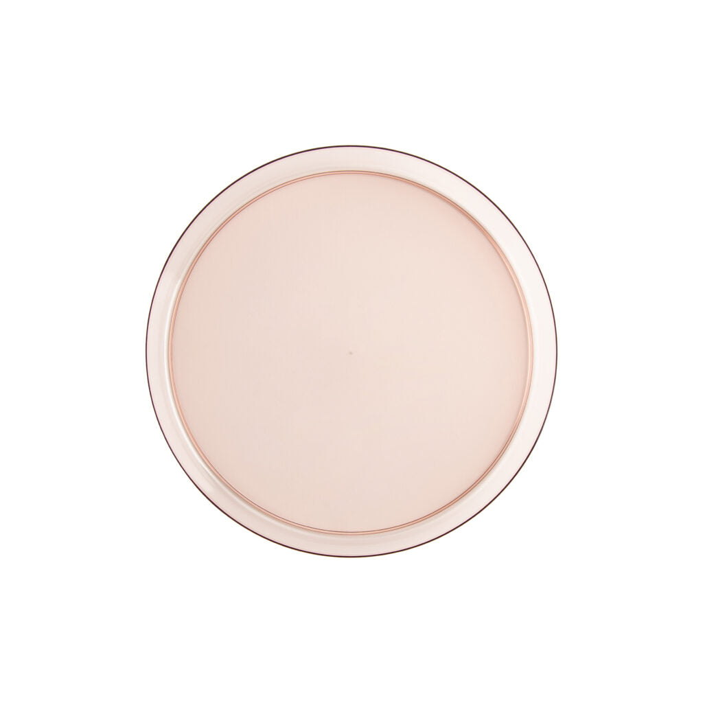 10 Pack Clear Rose Round Plastic Plates - Shatterproof Disposable Dinner Plates for Parties, Weddings, Picnics & Outdoor Events