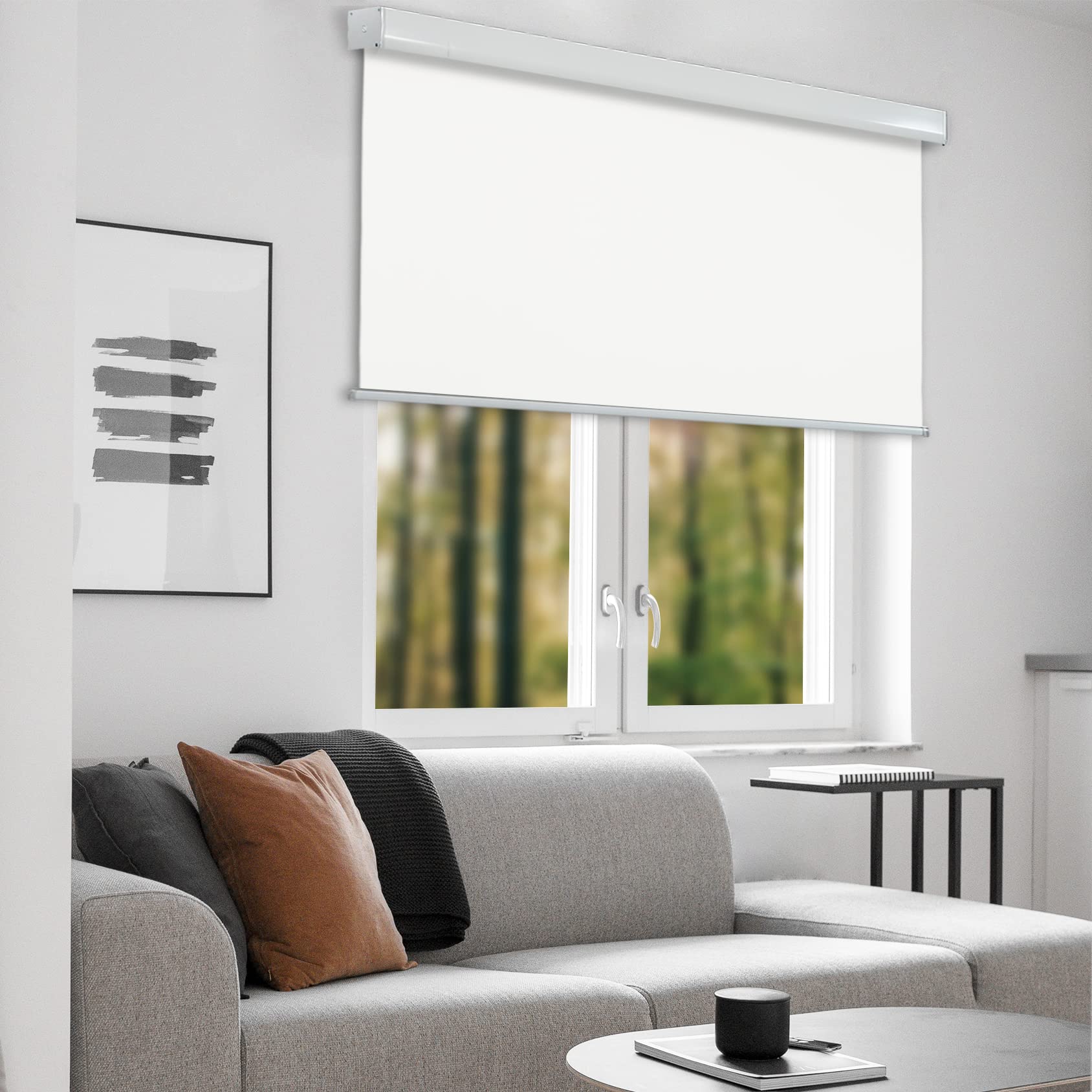 CHICOLOGY Cordless Roller Shades for Windows - Blackout Fabric, Skycastle White, 50