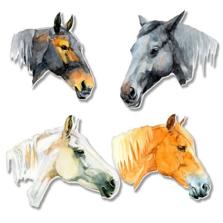 AK Wall Art Horses Set of 4 Vinyl Stickers - Waterproof Decals for Car, Phone, Helmet & Laptop - Multiple Sizes Available - Perfect for Home Decor, Office & Personalization