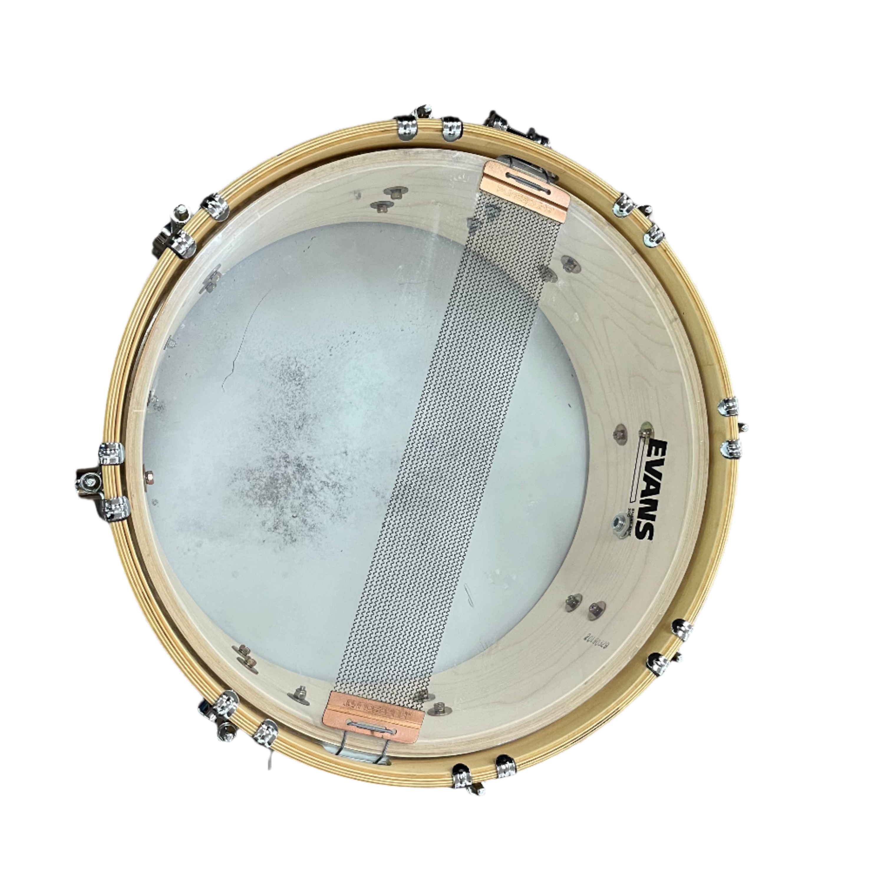 DW Evans Level 360 Snare Drum G1 - Professional Grade Snare Drum for Drummers | Perfect for Live Performances, Studio Recording & Practice Sessions