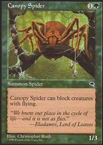 Magic The Gathering Canopy Spider Card - Tempest Expansion for MTG Deck Building & Collecting | Perfect for Game Nights & Tournaments