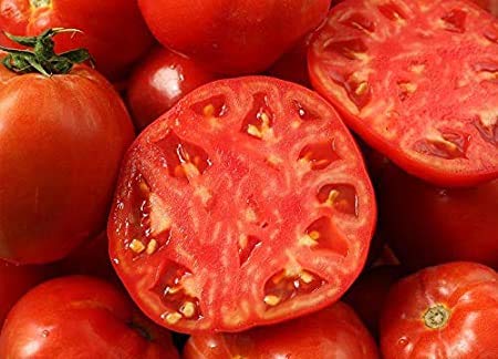 Organic Fruit & Vegetable Garden Seed Kit - 50+ Non-GMO Seeds for Watermelon, Cantaloupe, Tomato, Broccoli & Cauliflower | Home Gardening Starter Pack for Backyard Planting, Raised Beds & Container Gardens