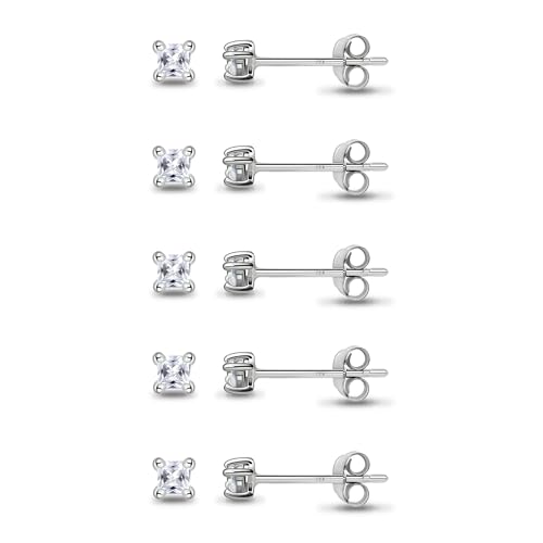 5 Pairs - Silver