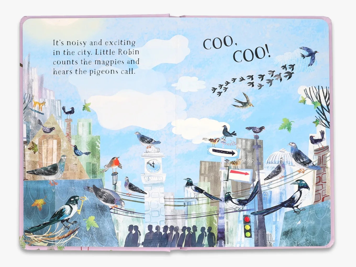 Little Robin's Book of Birds - The Big Book Series | Educational Children's Nature Guide | Perfect for Homeschooling & Classroom Learning