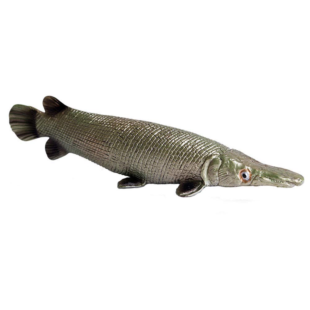 FLORMOON Realistic Alligator Gar Fish Figurine - Educational Sea Animal Toy for Kids, Science Project, Christmas & Birthday Cake Topper - Perfect for Toddler Learning, Home Decor, and Aquatic Theme Parties