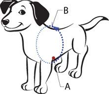 No-Pull Dog Harness - The Original Sense-ation Training Harness for Small Dogs (Blue) | Perfect for Walking, Running & Outdoor Adventures with Your Pet