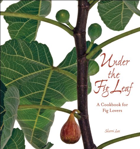 Under the Fig Leaf - Stylish and Comfortable Women's Loungewear Set for Home Relaxation & Yoga