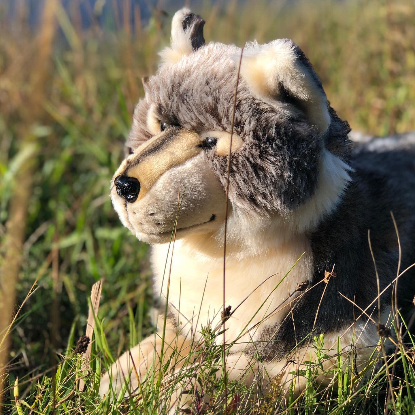 20 Inch Grey Wolf Plush Stuffed Animal - Realistic Timber Wolf Toy for Kids, Home Decor, Nursery, and Gift Giving | Soft & Cuddly Wolf Stuffed Animal for Bedroom, Living Room, or Office