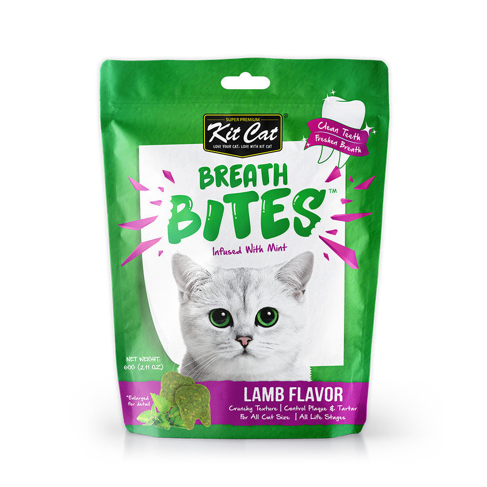 Kit Cat Kitty Crunch & Breath Bites Cat Treats - 60g (Beef, Tuna, Salmon, Chicken, Seafood, Lamb Flavors) - Dental Care Snacks for Fresh Breath - Perfect for Training Rewards & Bonding Time with Your Cat