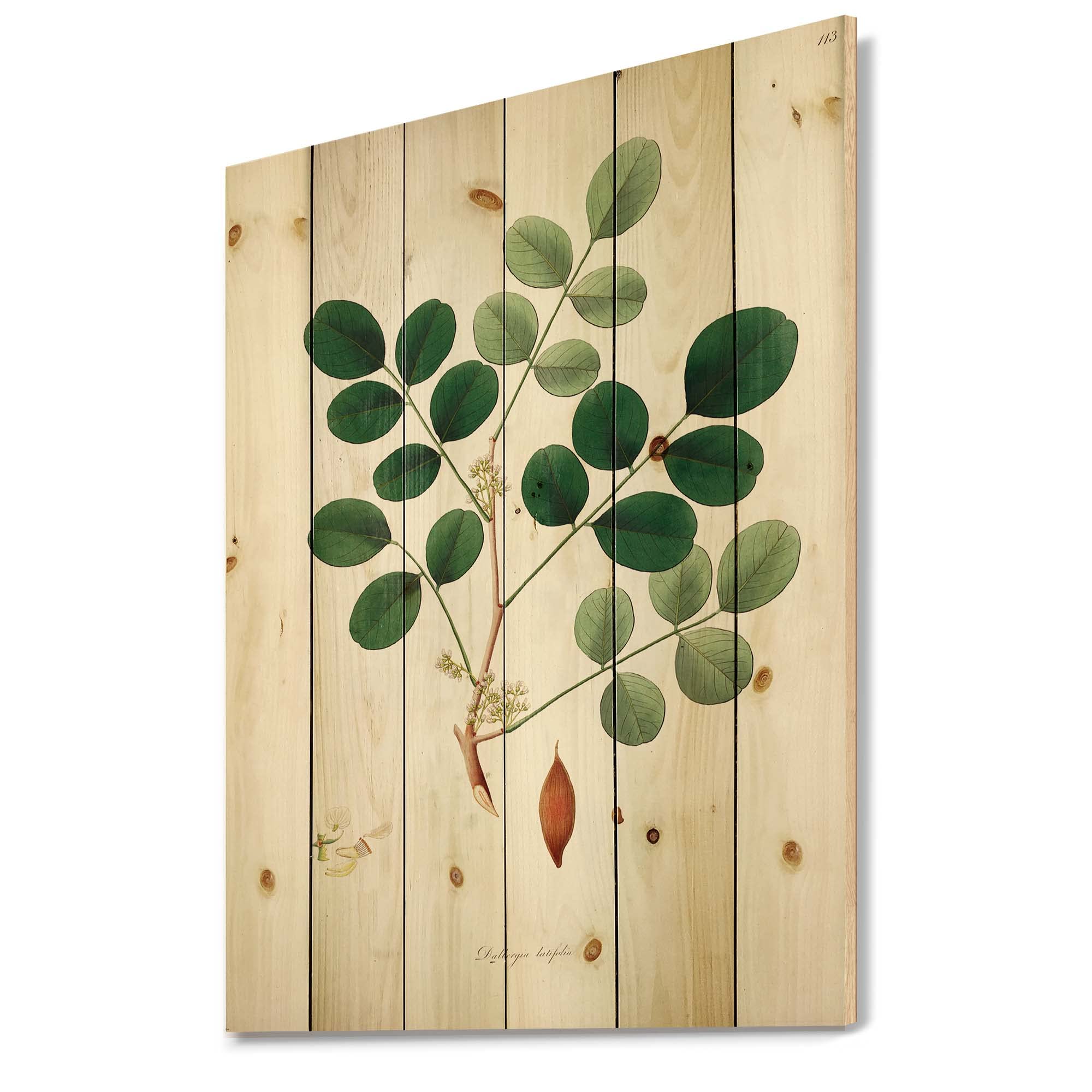 Vintage Farmhouse Wood Wall Decor - Green Floral Wall Art Panels, Large Printed Pine Wood Art for Living Room, Bedroom & Home Decor