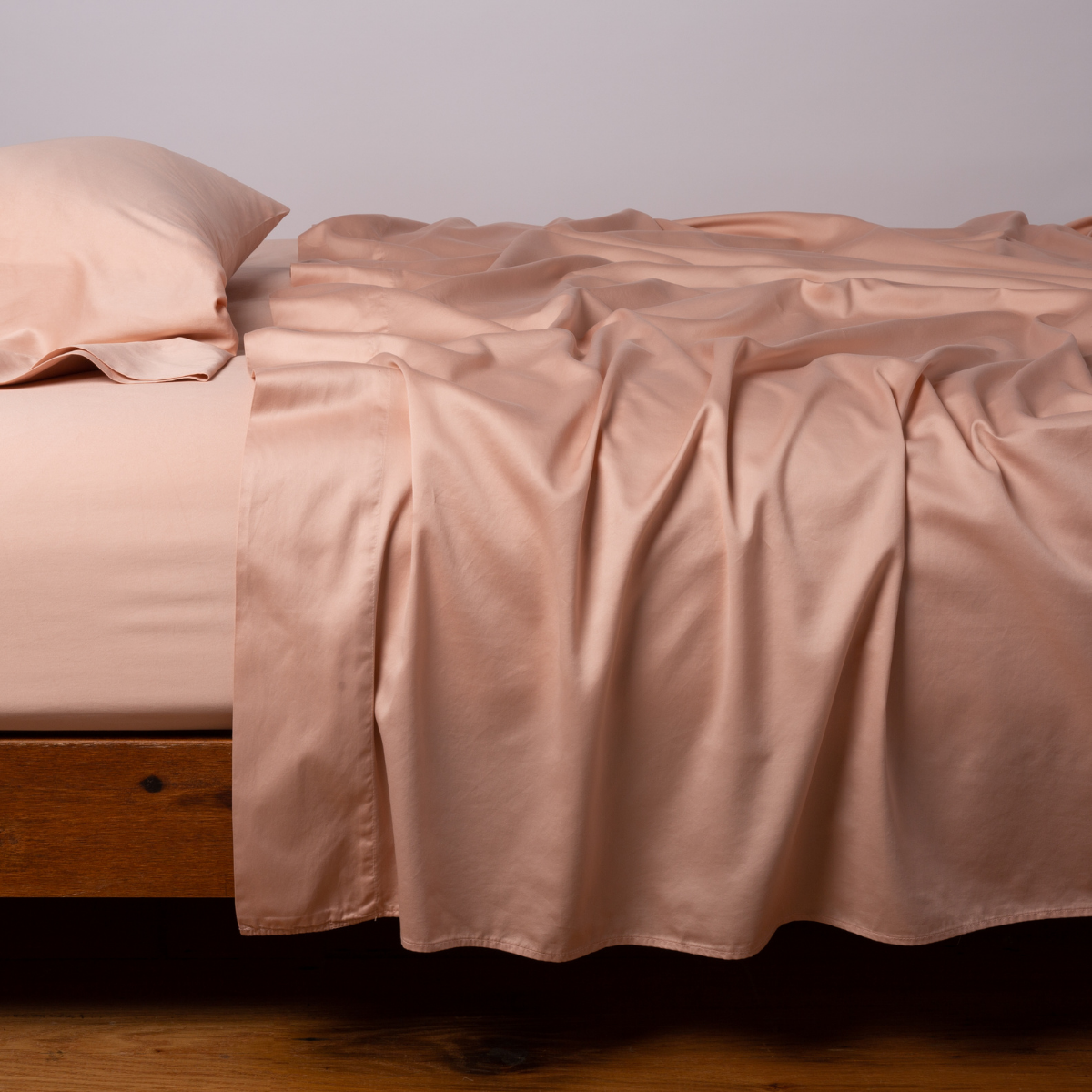 Bria Twin Fitted Sheets - Soft & Breathable Cotton Jersey Bed Sheets for Kids & Adults - Perfect for Daycare, Dorm Rooms & Guest Beds