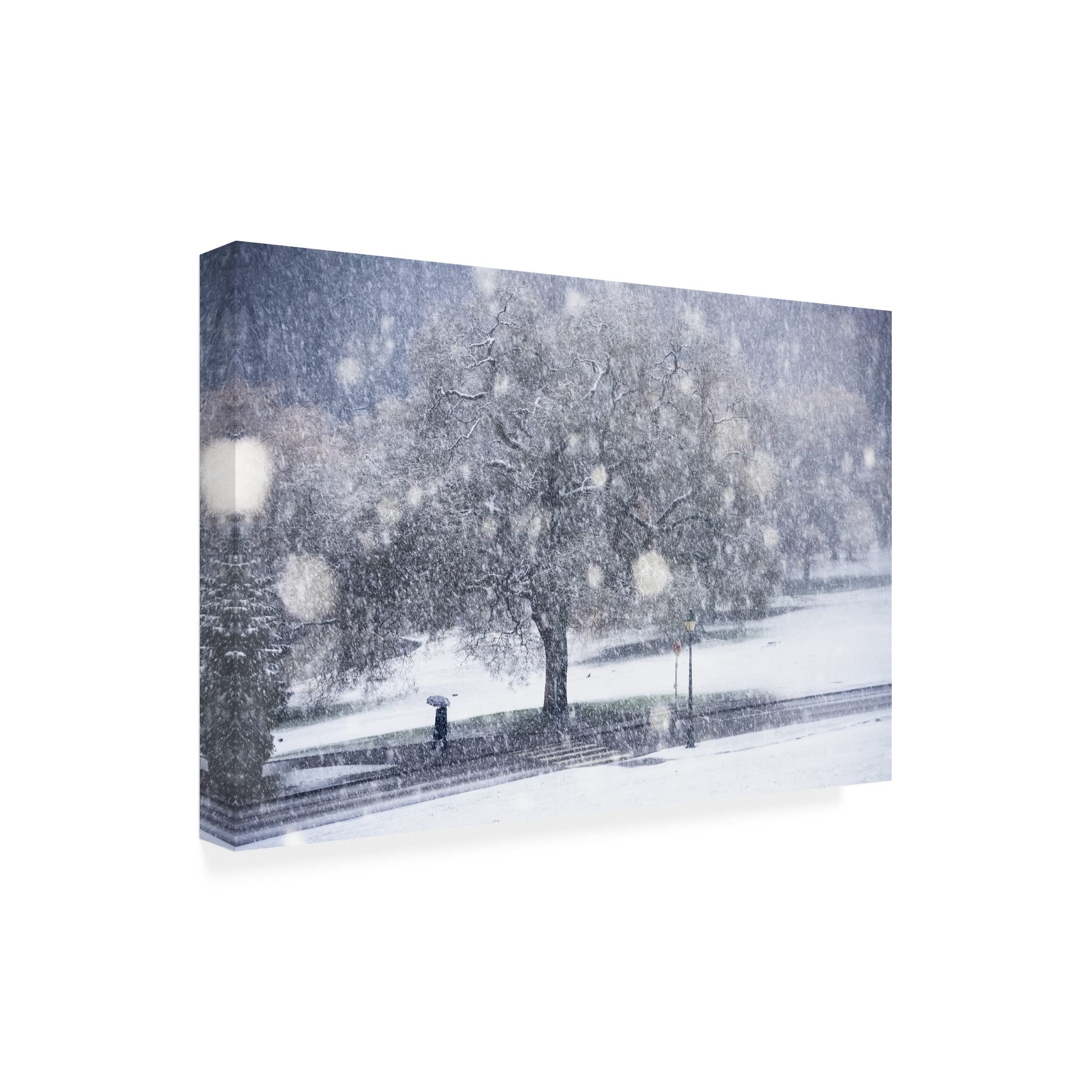Lucian Constantin 'The Silhouette' Canvas Wall Art Print - Modern Home Decor for Living Room, Bedroom & Office | Trademark Fine Art Collection