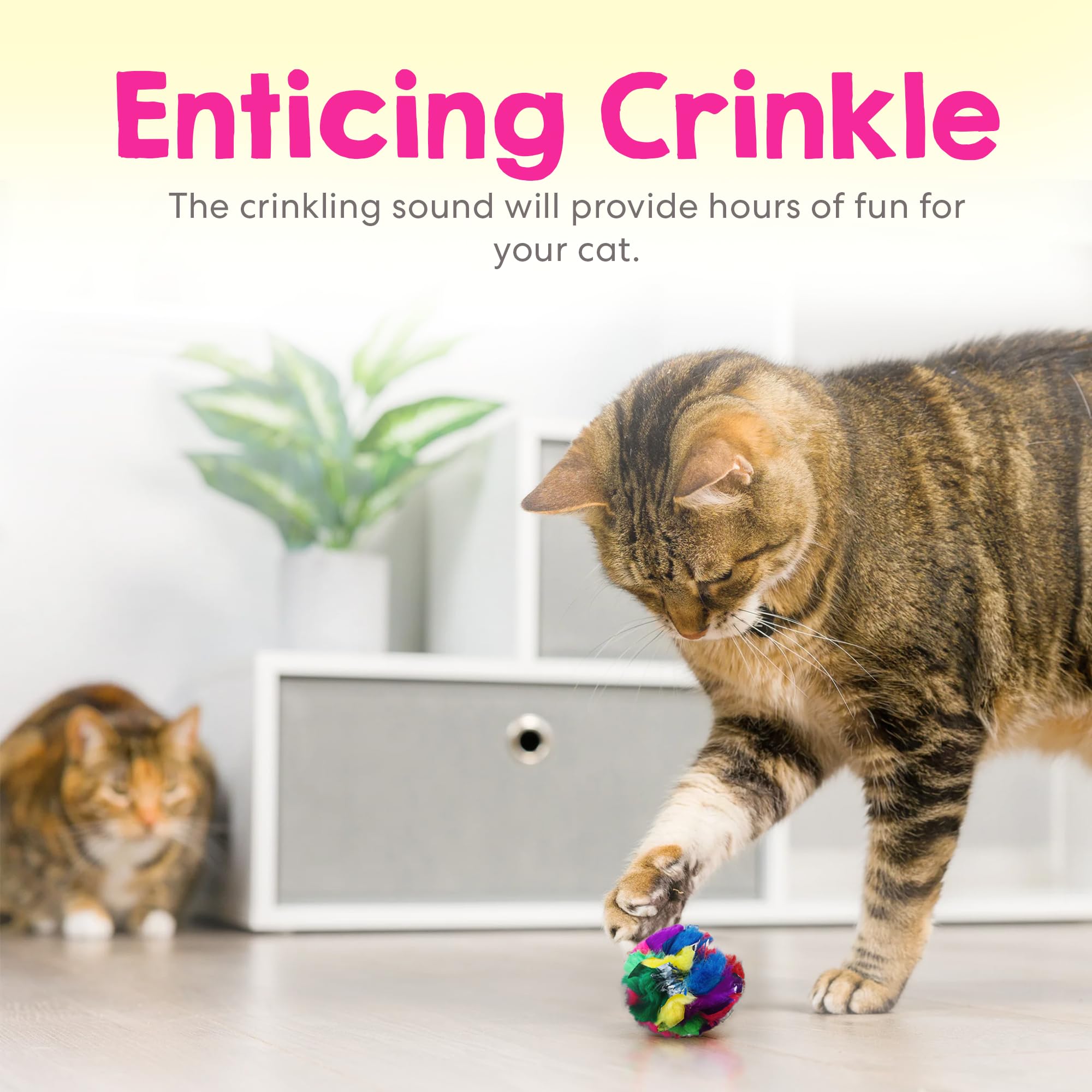 Mini Crinkle Balls for Cats 1.5 Inch (50-Pack) - Colorful Interactive Cat Toys - Made in Canada - Perfect for Indoor Play & Exercise