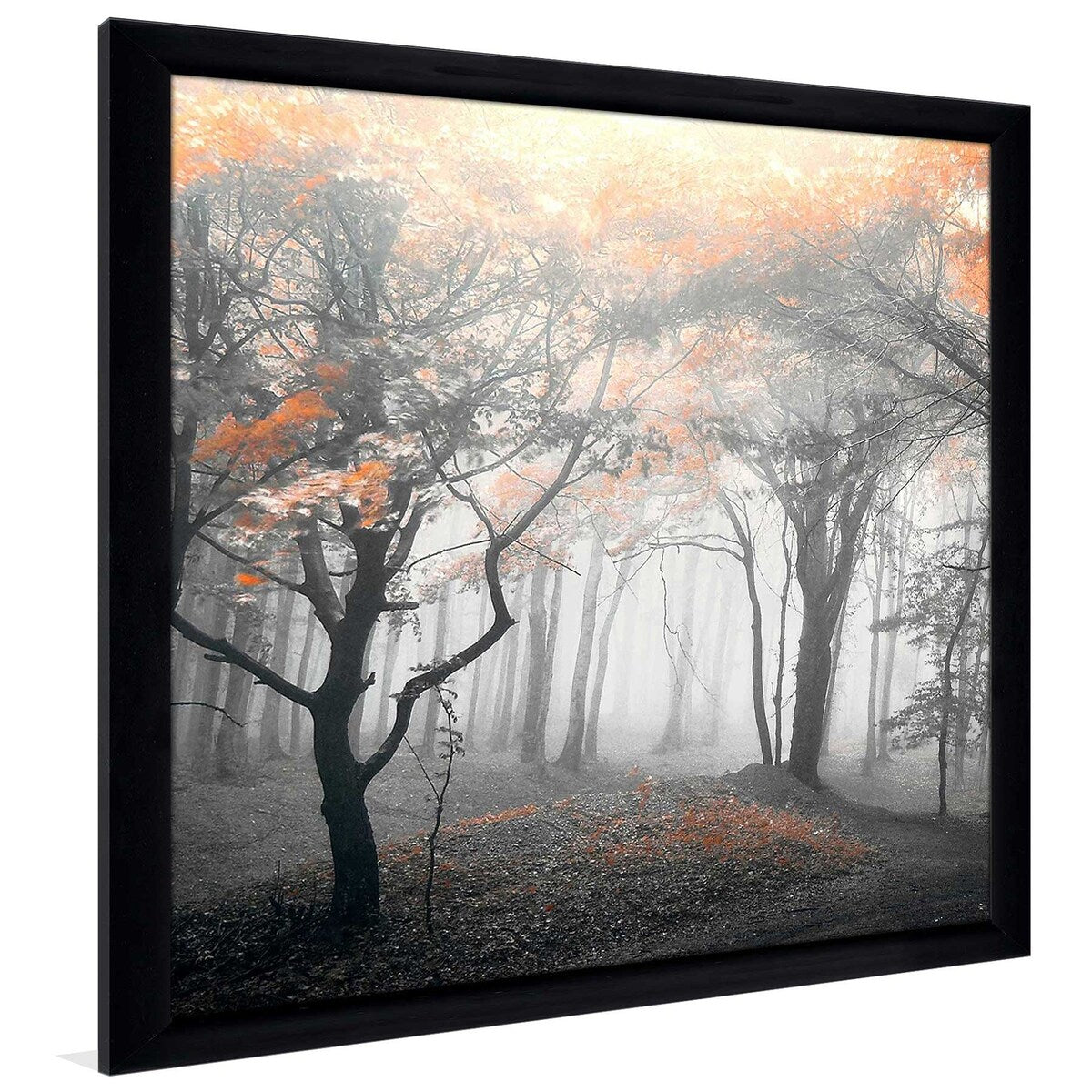46 Autumn Woods Landscape Print on Acrylic - Premium Wall Art Decor for Living Room, Bedroom & Office - Nature Photography by PhotoINC Studio