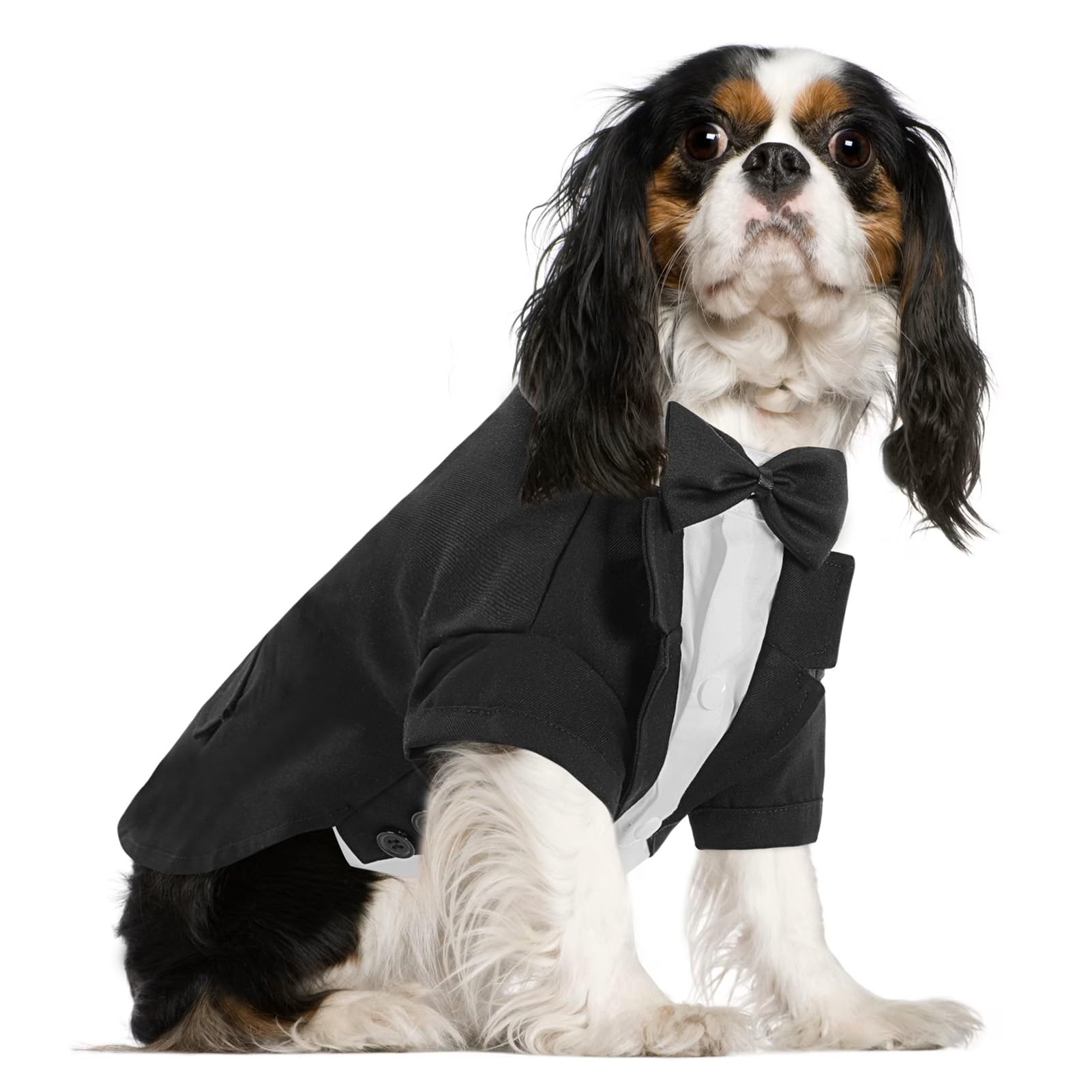 Queenmore Dog Tuxedo Suit - Formal Pet Tuxedo with Bow Tie for Weddings, Parties & Halloween - Elegant Dog Outfit for Small, Medium & Large Dogs & Cats (Black, Size S) | Perfect for Special Occasions, Photo Shoots & Dress-Up Play