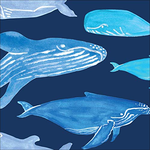 Save the Whales