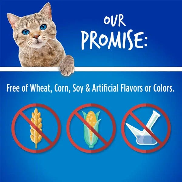 Fruitables Chicken Flavor with Blueberry Cat Treats - Healthy Natural Snacks for Cats - Perfect for Training, Rewards & Bonding with Your Feline Friend